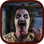 试验z汉化版v1.0