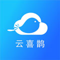 喜鹊app官方最新版v1.0.0