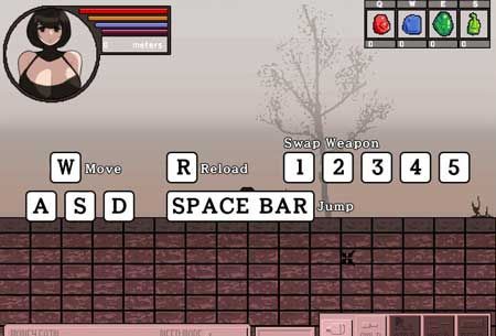 放浪的女英雄汉化破解版