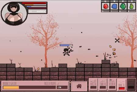 放浪的女英雄汉化破解版