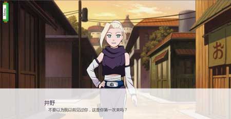 忍者后宫全人物攻略破解版