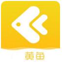 黄鱼视频2025最新版地址