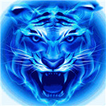 四虎影视app破解版最新版