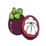 山竹视频app安卓版免费