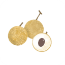 龙眼小说免费版百度云