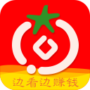 番茄看点最新版免费