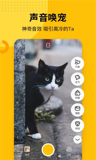 爪叽最新版app安卓版v2.4