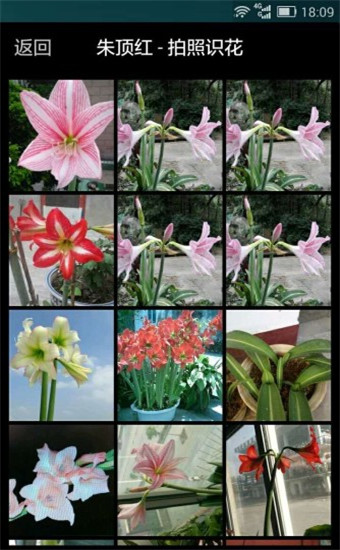 拍照识花免费最新版v2.1.16