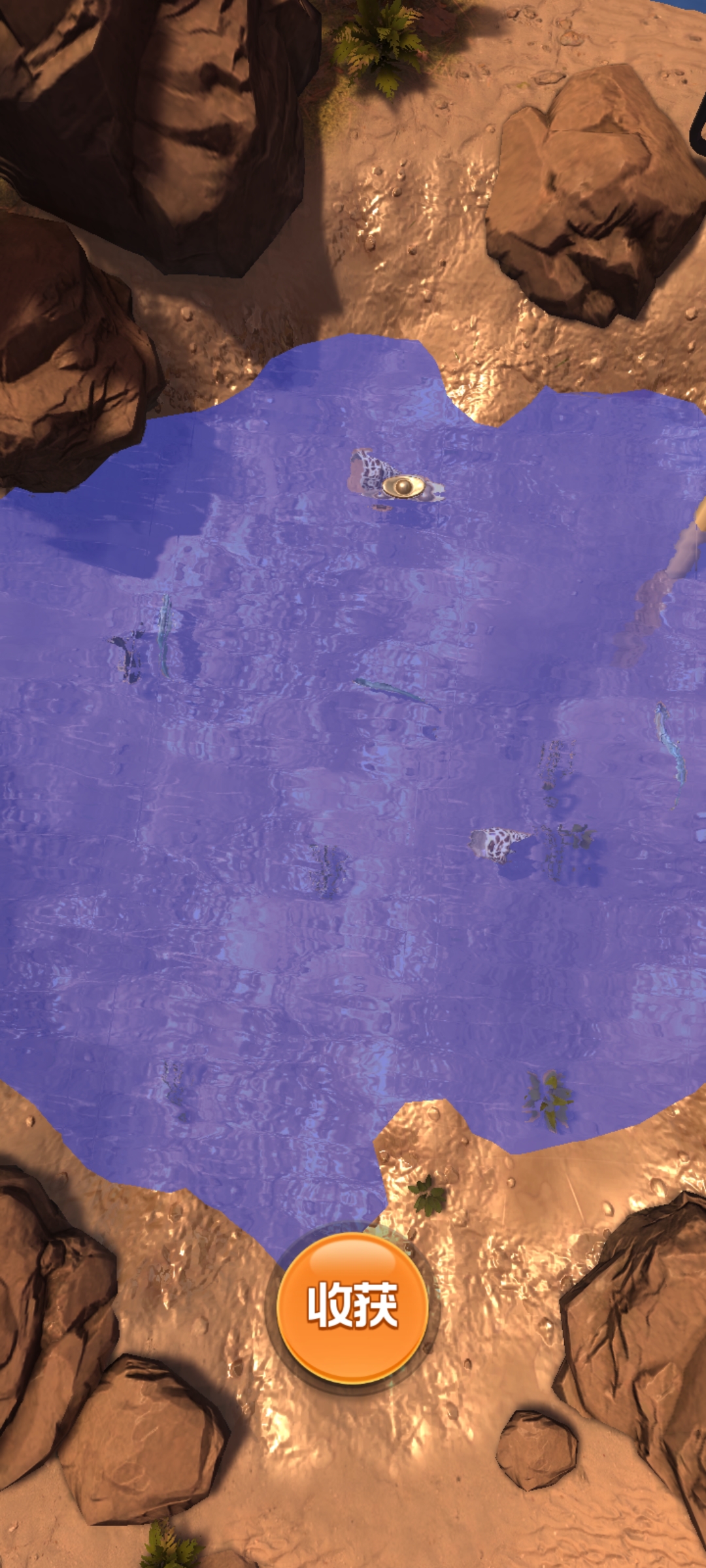 赶海王安卓测试版