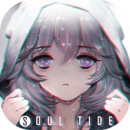 灵魂潮汐官服公测版