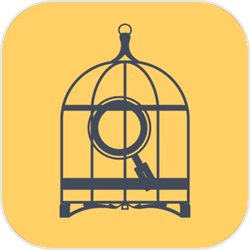 暴风雪俱乐部安卓正式版