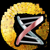 六爻占卜每日一占免费抽签