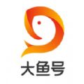 大鱼号app安卓版