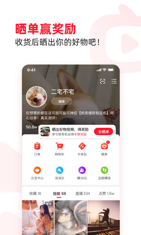 点淘APP正版