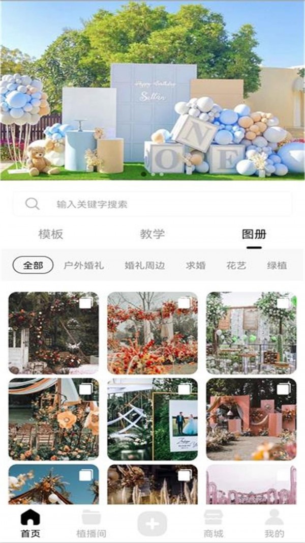 植播间