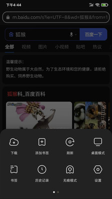 狐猴浏览器app手机版