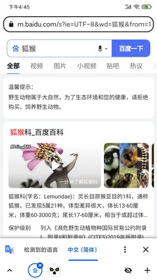 狐猴浏览器app手机版