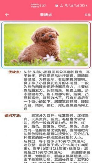 宠物宝宝大全免费版v5.1.4