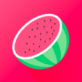 西瓜小铁盒最新版v1.9.1