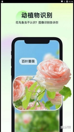 智能识万物2025v6.1.7