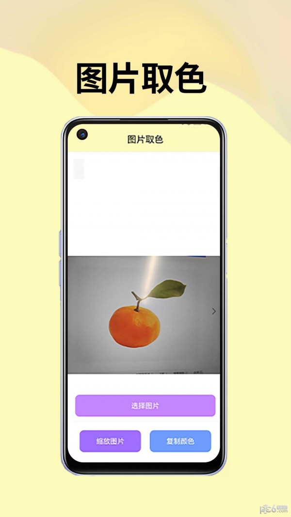 皮皮袋安卓版v5.4.5