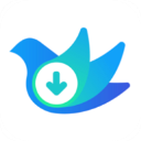 云雀视频助手免费版 v16.82