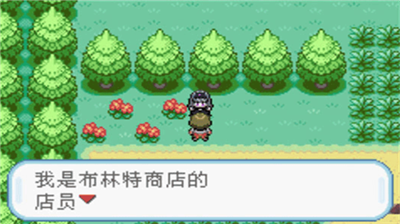 口袋妖怪火红无限存档点版