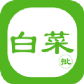 白菜批车App手机版