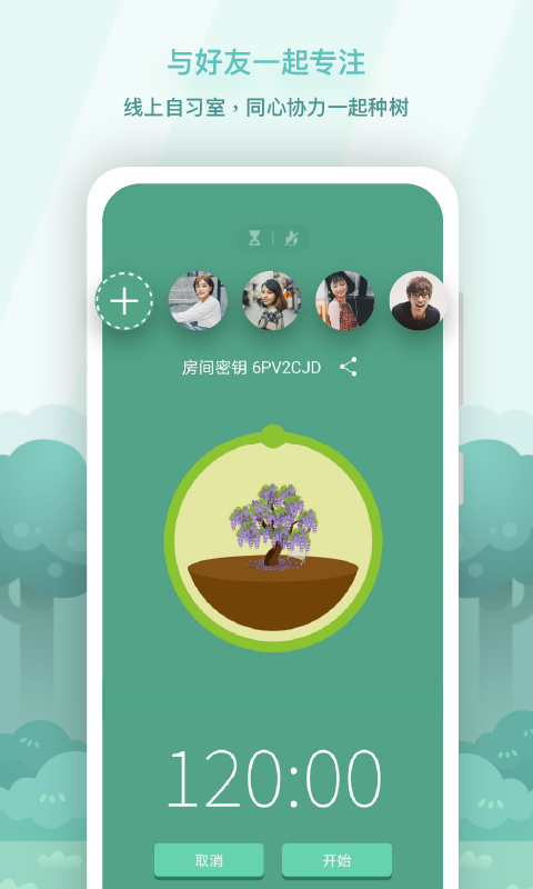 forest2025新版本