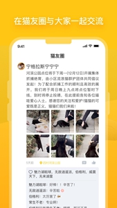 街猫app正版2025