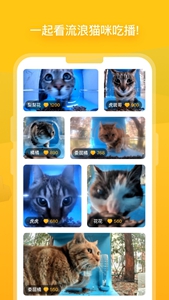 街猫app正版2025