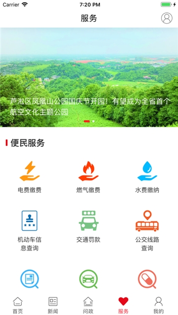 掌上芦淞