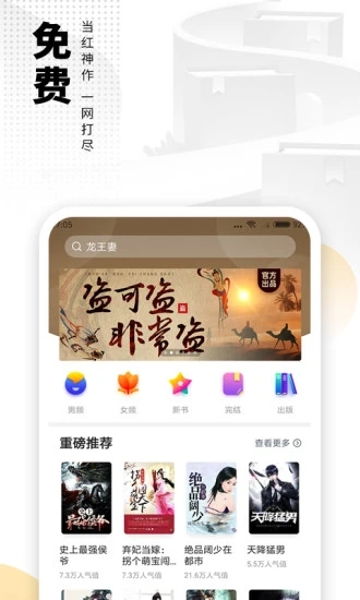 桃花溪小说免