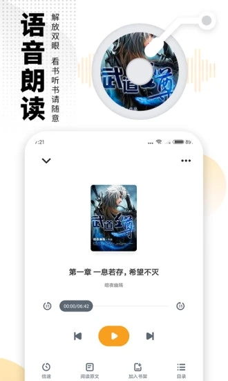 桃花溪小说免