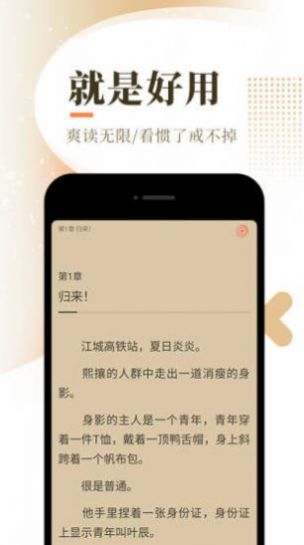 樱花逝小说免费阅读