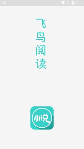 飞鸟小说
