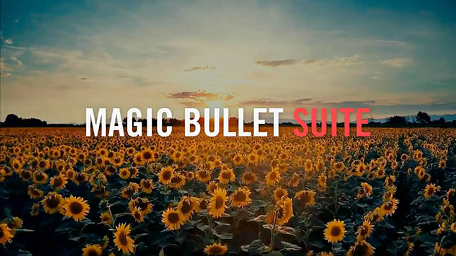 红巨人磨皮调色插件套装