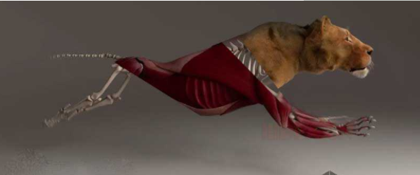 Ziva Dynamics Ziva VFX