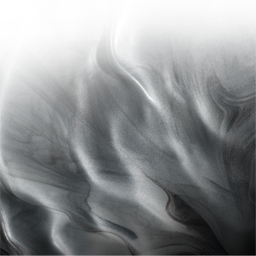 Silver Efex Pro(PS黑白胶片滤镜)