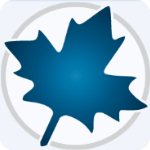 maple2025破解版百度云