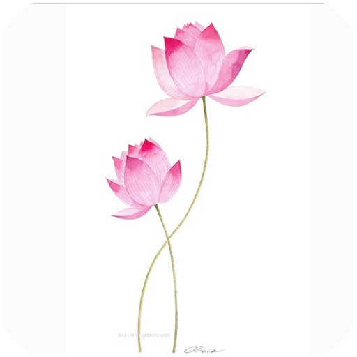 苏教版小学数学